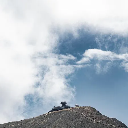 Daire Wilcza For Rest